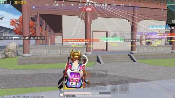 深入了解和平精英辅助现象：技术创新与社会影